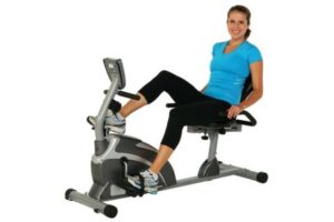 Exerpeutic 900xl Extended Capacity Recumbent Bike With Pulse