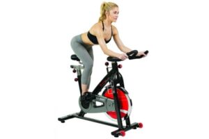 Sunny Health & Fitness Belt Drive Indoor Cycling Bike Grey SF-B1002