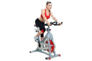 Sunny Health & Fitness Pro Indoor Cycling Bike SF-B901