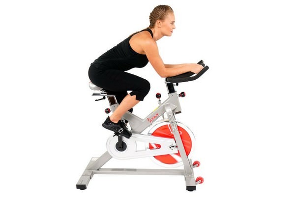 Best Sunny Health and Fitness SF B1423, P8100 Pink, SF B1001, SF B1110s Belt Drive Indoor Cycling Bike Reviews